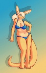 anthro blonde_hair blue_eyes bra breasts clothing female fur hair looking_at_viewer midriff navel panties simple_background slightly_chubby solo swimwear tail thick_tail underwear shortwings frank_westerveldt kangaroo macropod mammal marsupial 2011 hi_res sketch