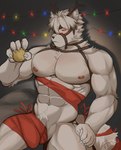 5_fingers abs anthro biceps big_penis biped blush bulge christmas_tree dessert detailed_bulge fingers food fur genitals gift_wrapped holding_object holidays inner_ear_fluff male muscular muscular_anthro muscular_male pecs penis plant solo tail tree tuft white_body white_fur eliolovicos christmas mihoyo zenless_zone_zero von_lycaon canid canine canis mammal wolf hi_res