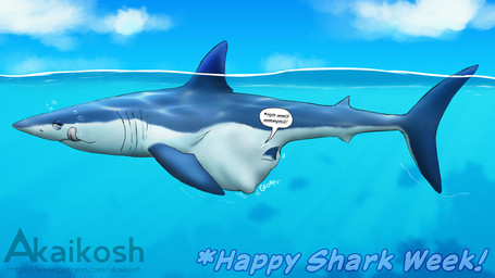 after_vore ambiguous_gender belly big_belly blue_body blue_eyes blue_fin blue_tail dorsal_fin duo feral feral_pred fin gills licking licking_lips shark_tail speech_bubble struggling struggling_prey tail text tongue tongue_out underwater vore water white_belly akaikosh discovery_channel shark_week aquatic fish mackerel_shark mako_shark shark white_shark 16:9 2024 english_text hi_res watermark widescreen