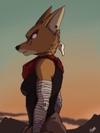 anthro arm_wraps black_nose breasts brown_body brown_fur clothed clothed_anthro clothed_female clothing female fur kerchief solo wraps huandoodles laika_aged_through_blood laika_(laika_aged_through_blood) canid canine canis coyote mammal 2024 3:4 hi_res signature