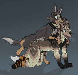 all_fours anal anal_penetration animal_genitalia animal_penis anthro anthro_on_feral anthro_penetrated antler_bite bestiality bite bite_mark biting_another biting_partner bodily_fluids breath cervine_genitalia cervine_penis claw_marks claws clothing collar collar_only dog_tags drooling duo erection feral feral_penetrating feral_penetrating_anthro footwear from_behind_position genitals grabbing_from_behind interspecies male male/male male_on_feral male_penetrated male_penetrating male_penetrating_male mounting nude obscured_penetration panting penetration penile penile_penetration penis quadruped saliva scratches sex simple_background socks teeth tongue tongue_out ricthecusco brazilian_dawg_(ricthecusco) brokenpaw australian_cattle_dog canid canine canis cattledog cryptid domestic_dog herding_dog mammal pastoral_dog