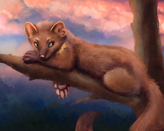 5_toes amber_eyes ambiguous_gender black_nose blue_sclera blurred_background brown_body brown_fur cheek_tuft claws cloud eyebrows facial_tuft feet feral fluffy fluffy_tail forest fur head_tuft inner_ear_fluff looking_aside lying neck_tuft notched_ear on_front outside pawpads paws pink_pawpads plant quadruped sky solo sunset tail tan_body tan_fur toe_claws toes tree tuft whiskers kebi kebi_(character) gulonine mammal marten mustelid musteline pine_marten 2020 5:4 signature