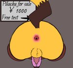 anus balls for_sale for_sale_sign fur gaping gaping_anus genitals glory_hole machine male milking_machine penis public_use solo tail text through_wall yellow_body yellow_fur honeyu nintendo pokemon generation_1_pokemon pikachu pokemon_(species) english_text