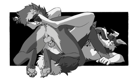 animal_genitalia animal_penis anthro balls biped breath canine_genitalia canine_penis duo eyewear from_front_position genitals glasses knot looking_pleasured lying male male/male male_penetrated male_penetrating male_penetrating_male missionary_position nude on_back panting pawpads paws penetration penis sex tail zucchinifuzz canid canine canis domestic_dog mammal hi_res monochrome