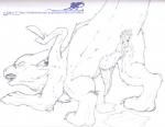 anus bodily_fluids butt cum cum_in_ass cum_inside erection feral gaping gaping_anus genital_fluids genitals male nude penis solo tail tapering_penis text wings athus dragon_drive mythology chibisuke dragon mythological_creature mythological_scalie scalie sketch url