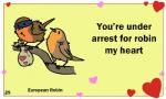 ambiguous_gender beak duo feral heart_symbol holidays text birdcheese valentine's_day avian bird chat_(bird) european_robin old_world_flycatcher oscine passerine robin_(bird) saxicoline 5:3 animated digital_media_(artwork) english_text low_res short_playtime