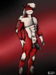 black_body black_fur black_nose erection fur genitals hair looking_at_viewer male multicolored_body multicolored_fur muscular muscular_male penis pose red_body red_fur solo white_body white_fur white_hair arrwulf 3:4