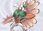 2_toes arrow_(weapon) attack beak brown_body brown_feathers clothing feathers feet green_body half-closed_eyes hoodie markings narrowed_eyes orange_eyes orange_markings ranged_weapon solo toes topwear weapon white_body white_feathers gerigo_(artist) nintendo pokemon avian decidueye generation_7_pokemon pokemon_(species)