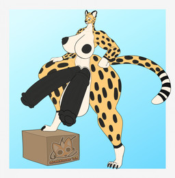 2_penises 4_toes amber_eyes animal_genitalia animal_penis anthro balls big_balls big_penis biped black_nipples black_penis border box breasts claws container digitigrade diphallism dipstick_tail equine_genitalia equine_penis feet genitals gloves_(marking) gradient_background gynomorph hands_on_hips horizontal_diphallism huge_balls huge_penis huge_thighs hyper hyper_genitalia hyper_penis intersex leg_markings long_tail looking_down markings multi_genitalia multi_penis nipples penis simple_background socks_(marking) solo spots spotted_markings standing standing_on_object tail tail_markings thick_thighs thin_tail toe_claws toes drakkmac kira_sharpovich cheetah felid feline mammal digital_drawing_(artwork) digital_media_(artwork) flat_colors hi_res