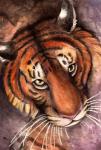 ambiguous_form ambiguous_gender black_stripes countershading detailed_background ears_back fur fuzzy high-angle_view looking_at_viewer orange_body orange_fur painting pivoted_ears solo stripes white_body white_countershading yellow_eyes banrai felid mammal pantherine tiger painting_(artwork) traditional_media_(artwork) watercolor_(artwork)