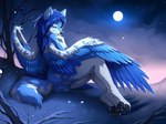 anthro blue_body blue_eyes blue_fur blue_hair breasts butt feathered_wings feathers feet female fur genitals hair hindpaw looking_at_viewer moon night nipples nude pawpads paws pussy seductive snow solo star tongue tongue_out wings hioshiru tala_(suntattoowolf) canid canine canis mammal wolf 2016 digital_media_(artwork) shaded