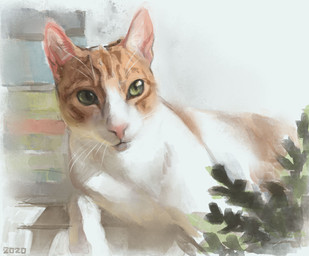 ambiguous_gender feral fur green_eyes markings orange_markings pink_nose plant solo tan_markings whiskers white_body white_fur alexpahomov domestic_cat felid feline felis mammal 2020 digital_media_(artwork) digital_painting_(artwork) digital_watercolor_(artwork) hi_res painting_(artwork) watercolor_(artwork)