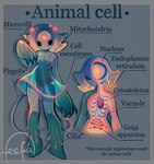 biped cell_nucleus endoplasmic_reticulum female golgi_apparatus mitochondria not_furry organelle pseudo_hair solo tail text feefal cell_(organism) cell_humanoid humanoid english_text hi_res