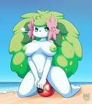 :t anthro anthrofied ball beach_ball big_breasts breasts cherish_ball cloud_emanata emanata female flower flower_(anatomy) head_flower inflatable leaf leaf_hair nipples nude plant plant_hair pokeball pokeball_beach_ball pokemorph pool_toy pseudo_hair short_stack sitting_on_ball solo latiar nintendo pokemon elemental_creature flora_fauna generation_4_pokemon land_forme_shaymin legendary_pokemon mammal pokemon_(species) shaymin hi_res