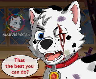adolescent blood blue_eyes bodily_fluids bruised collar eye_scar facial_scar fangs feral fur male markings scar solo spots spotted_body spotted_fur teeth text white_body white_fur young marvispot84 paw_patrol fan_character spots_(oc_marvispot84) canid canine canis dalmatian dalsky_(dalmatian_and_husky) domestic_dog husky mammal nordic_sled_dog spitz theet cel_shading english_text hi_res shaded