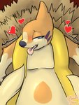 2_tails anthro blush bodily_fluids hay_bed heart_symbol lying male moobs multi_tail multicolored_body on_back saliva shaking solo tail tears tongue tongue_out two_tone_body 6tray nintendo pokemon fan_character floatzel generation_4_pokemon pokemon_(species) absurd_res hi_res signature