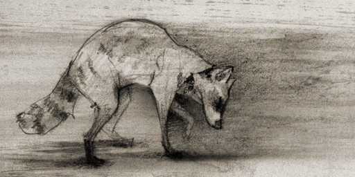 ambiguous_gender digitigrade eyes_closed feral quadruped simple_background solo tail wind coonkun mammal procyonid raccoon 2013 monochrome sepia sketch