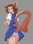 brown_body brown_fur butt clothed clothing female fur looking_at_viewer looking_back looking_back_at_viewer orange_eyes panties solo transformation underwear upskirt whiskers omarushi999 ghibli the_cat_returns haru_yoshioka animal_humanoid domestic_cat felid feline felis humanoid mammal absurd_res hi_res