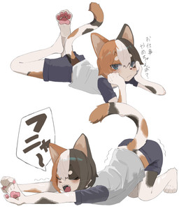 4_toes anthro barefoot blue_eyes blush bottomwear clothed clothed_anthro clothed_male clothing feet fur hair kemono looking_at_viewer male male_anthro multicolored_body multicolored_fur multicolored_hair open_mouth pawpads paws shirt short_hair shorts simple_background solo stretching t-shirt text the_pose toes tongue topwear white_background yawn aya_tsuji calico_cat domestic_cat felid feline felis mammal 2026 absurd_res digital_media_(artwork) hi_res japanese_text translated