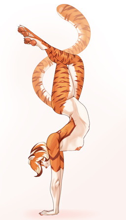 4_toes 5_fingers anthro areola athletic breasts brown_markings brown_stripes casual_nudity claws countershade_torso countershading feet female female_anthro fingers flexible fur hair handstand hanging_breasts hindpaw long_tail looking_at_viewer markings multicolored_body multicolored_fur multicolored_hair multicolored_tail nails nipples nude nude_anthro nude_female orange_body orange_eyes orange_fur orange_hair orange_tail pawpads paws pink_nipples pink_nose pink_pawpads pose short_hair simple_background slim small_breasts soles solo striped_body striped_fur striped_markings striped_tail stripes tail tail_markings toe_claws toes tongue upside_down white_background white_body white_countershading white_fur white_hair white_tail flururu arknights hypergryph studio_montagne waaifu_(arknights) felid mammal pantherine tiger full-length_portrait hi_res portrait