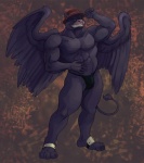 abs anthro beak biceps biped black_clothing black_swimwear clothed clothing feathered_wings feathers fur furgonomics hat headgear headwear looking_at_viewer male muscular muscular_anthro muscular_male pecs pose solo speedo standing swimwear tail thong topless underwear wings asterionblazing mythology nickles_(character) avian gryphon mythological_avian mythological_creature