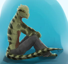 anthro barefoot bent_legs biped black_body black_claws black_eyes black_markings black_scales black_tail blue_background bottomwear brown_body brown_countershading brown_scales claws clothed clothing countershade_torso countershading feet green_body green_face green_scales green_tail grey_bottomwear grey_clothing grey_pants looking_aside looking_at_viewer male markings monotone_bottomwear monotone_clothing monotone_pants multicolored_body multicolored_scales no_pupils orange_sclera pajamas pants plantigrade scales side_view simple_background sitting solo striped_markings striped_tail stripes tail tail_markings tapering_tail toe_claws topless year aquaticas agamid australian_water_dragon lizard reptile scalie water_dragon_(agamid) 2016 hi_res signature