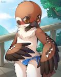 ambiguous_gender anthro blush brown_body brown_eyes brown_feathers bulge c-string chest_tuft clothed clothing detailed_background feathers kemono male outside public skimpy solo standing thong topless tuft underwear wings young young_anthro unrealplace avian 2017 signature watermark