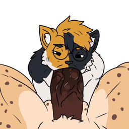 anthro big_penis bodily_fluids cum duo ejaculation fellatio femboy first_person_view genital_fluids genitals huge_penis male male/male oral penetration penile penis precum saliva sex yaiski calico_cat domestic_cat felid feline felis mammal 1:1 2d_animation animated high_framerate no_sound short_playtime video
