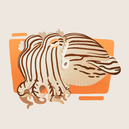 ambiguous_gender brown_stripes feral geometric_background horizontal_pupils orange_sclera pupils side_view simple_background solo striped_body striped_tentacles stripes tentacles white_background white_body cuttledreams aquatic bobtail_squid bottletail_squid cephalopod coleoid decapodiform mollusk squid striped_pyjama_squid 1:1 digital_drawing_(artwork) digital_media_(artwork) full-length_portrait portrait watermark