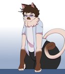 anthro big_butt butt cat_tail clothed clothing curled_hair curling_tail eyewear glasses hair huge_butt huge_thighs male notched_ear solo tail thick_thighs cleo_(artist) newton_(katemonsterfucker) domestic_cat felid feline felis mammal siamese hi_res