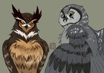 brown_body brown_feathers duo feathers female feral grey_body grey_feathers male simple_background yellow_eyes kabuki-aku guardians_of_ga'hoole grimble_(gogh) skench_(gogh) aegolius avian bird boreal_owl great_horned_owl horned_owl owl true_owl absurd_res hi_res