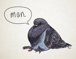 2023 ambiguous_feral ambiguous_gender avian beak bird brown_eyes columbid dialogue english_text feathers feral grey_body grey_feathers hella-hannah-art pigeon purple_body purple_feathers reaction_image rock_dove simple_background sitting solo text white_background