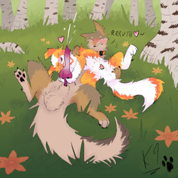 animal_genitalia animal_penis balls birch_tree blush bodily_fluids brown_body brown_fur canine_genitalia canine_penis cum cumshot duo ejaculation erection eyes_closed feral feral_on_feral flower forest forest_background fur genital_fluids genitals half-erect handjob knot knot_root knot_root_grab laying_on_partner licking lying male male/male nature nature_background on_back on_side oral orange_body outside outside_sex penile penis penis_lick plant sex sheath smile tongue toony tree k9derg_(artist) kanon_(applejacksville) tukamos_(character) australian_shepherd canid canine canis coyote domestic_dog herding_dog mammal pastoral_dog sheepdog 1:1 2025 digital_media_(artwork) hi_res