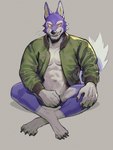 anthro athletic athletic_anthro athletic_male biped blue_body blue_fur bodily_fluids bottomless claws clothed clothing covering covering_crotch crossed_legs crosslegged_pose digitigrade fangs finger_claws fur grey_background grin jacket jacket_only looking_at_viewer male multicolored_body multicolored_fur navel open_clothing open_jacket open_topwear pecs simple_background sitting smile solo sweat teeth topwear topwear_only two_tone_body two_tone_fur white_body white_fur yellow_eyes k0bit0wani animal_crossing nintendo lobo_(animal_crossing) canid canine canis mammal wolf 2022 absurd_res digital_media_(artwork) hi_res