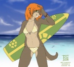 anthro beach bikini clothed clothing cloud detailed_background female ginger hair orange_hair outside sand seaside shore skimpy sky solo surfboard swimwear tail two-piece_swimsuit vehicle water watercraft dalehan mammal mustelid otter 2008