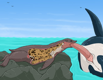 ambiguous_feral ambiguous_gender ambiguous_penetrated ambiguous_pred animal_genitalia animal_penis anthro anthro_on_feral anthro_penetrated anthro_prey anus bestiality black_body breasts brown_body cetacean_genitalia cetacean_penis deep_throat erection feet fellatio female female_anthro female_penetrated female_prey feral feral_on_feral feral_penetrated feral_penetrating feral_penetrating_anthro feral_penetrating_feral feral_pred flippers fully_inside fur genital_slit genitals group group_sex internal internal_oral large_penetration larger_feral larger_male male male/ambiguous male/female male_feral male_penetrating male_penetrating_ambiguous male_penetrating_female markings membrane_(anatomy) nude nude_anthro nude_female oral oral_penetration oral_vore penetration penile penile_penetration penis penis_in_mouth recursive_penetration sea sex size_difference smaller_anthro smaller_female spots spotted_body spotted_fur tail tapering_penis threesome toes trio vore water webbed_feet whiskers white_body strega callie_(strega) ambient_bird aquatic cetacean cheetah dolphin felid feline mammal oceanic_dolphin orca pinniped sea_lion toothed_whale 2026 hi_res