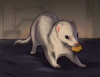 black_eyes cage feral fluffy fluffy_tail food_in_mouth fur grey_markings markings object_in_mouth on_blanket pink_nose quadruped short_fur solo tail whiskers white_body white_fur alexpahomov domestic_ferret mammal mustelid musteline true_musteline weasel 2020 digital_drawing_(artwork) digital_media_(artwork) hi_res
