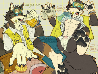 alcohol anthro beer beverage bottomwear bulge clothing currency_symbol dollar_sign eyewear eyewear_on_head goggles goggles_on_head male multiple_poses pawpads pose shorts solo symbol text topwear underwear vest gouyaojiao13 canid canine canis mammal wolf chinese_text hi_res translated
