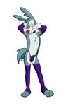 anthro arm_warmers armwear bulge clothing collar fur grey_body grey_fur leg_warmers legwear male solo speedo swimwear young young_anthro darkwolf79 tiny_toon_adventures warner_brothers calamity_coyote canid canine canis coyote mammal absurd_res hi_res