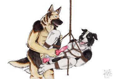 anal anal_penetration animal_genitalia animal_penis anthro anthro_on_anthro anthro_penetrated anthro_penetrating anthro_penetrating_anthro bdsm black_body black_fur black_nose blue_eyes bondage bound canine_genitalia canine_penis duo erection floppy_ears fur genitals knot logo male male/male male_penetrated male_penetrating male_penetrating_male nude open_mouth penetration penile penile_penetration penis penis_in_ass pink_tongue red_penis restraints rope rope_bondage sex side_view simple_background spread_legs spreading standing standing_sex suspension suspension_bondage tan_body tan_fur tongue white_background white_body white_fur yellow_eyes kola_(artist) border_collie canid canine canis collie domestic_dog german_shepherd herding_dog mammal pastoral_dog sheepdog 2018 artist_logo dated