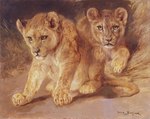 ambiguous_gender duo feral fur paws shadow tail young young_ambiguous young_feral rosa_bonheur public_domain felid lion mammal pantherine 19th_century ancient_art hi_res painting_(artwork) traditional_media_(artwork)