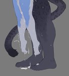 anthro barely_visible_genitalia biped blue_body blue_fur bodily_fluids claws cum cum_drip cum_on_feet cum_on_ground cum_on_leg dangling_doggystyle dangling_legs doggystyle dripping duo faceless_character faceless_male feet feet_in_air from_behind_position fur genital_fluids genitals grey_background grey_body grey_fur grey_tail leaking_cum leg_focus male male/male motion_lines obscured_penetration offscreen_sex sex simple_background size_difference standing tail toe_claws toes white_body white_fur cyanusowo felid mammal pantherine digital_media_(artwork) hi_res