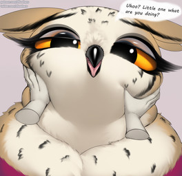 anthro anthro_focus asking asking_viewer asking_what beak caressing caressing_cheek caressing_face close-up dialogue disembodied_hand duo eyelashes face_grab face_squish feathers female female_focus half-closed_eyes hand_on_face lidded_eyes looking_at_viewer narrowed_eyes nictitating_membranes open_beak open_mouth pov_hands question question_mark questioning_tone simple_background solo_focus speech_bubble squish talking_to_viewer text translucent_eyelids thousandfoldfeathers dungeons_and_dragons hasbro wizards_of_the_coast holly_(thousandfoldfeathers) avian bear bird hybrid mammal owl owlbear 2025 digital_media_(artwork) english_text hi_res url