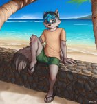 anthro beach beach_background black_clothing black_footwear black_sandals blue_eyes blue_hair bottomwear bracelet clear_sky clothing cobblestone eyewear eyewear_on_head facial_markings fluffy fluffy_tail foot_on_ground foot_on_wall footwear fur fur_markings green_bottomwear green_clothing green_shorts grey_body grey_fur hair hand_on_knee hand_on_leg hand_on_wall head_markings inner_ear_fluff islands jewelry logo looking_at_viewer male markings mask_(marking) neckline palm_tree plant raccoon_ears raccoon_markings raccoon_tail raised_leg sand sandals sea shirt shoes shoreline short_sleeved_shirt short_sleeves shorts sitting sitting_on_wall sky smile solo stone_wall sunglasses sunglasses_on_head t-shirt tail tan_clothing tan_shirt tan_t-shirt tan_topwear topwear tree tuft wall_(structure) water wave wearing_sandals neko-me theo_the_raccoon mammal procyonid raccoon artist_logo artist_name hi_res signature