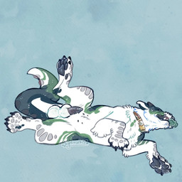 animal_genitalia balls collar feral forked_tongue genitals lying male nipples on_back paws rolling scales sheath solo spread_legs spreading tongue tusks blightmarks canid canine mammal 1:1