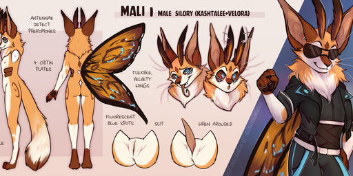 animal_genitalia antennae_(anatomy) anthro big_ears big_tail claws clothing dark_sclera fluffy fluffy_tail front_view genital_slit genitals male neck_tuft redesign side_view simple_background smile surprised tail text tongue tongue_out tuft wings lonerdemiurge mali_(mali.maw) silory absurd_res english_text hi_res