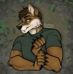 anthro male solo thehuntingwolf arwin canid canine canis mammal wolf absurd_res hi_res