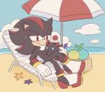 anthro beach black_body black_fur blush bodily_fluids chair clothing cloud duo food footwear fruit fur furniture gloves handwear looking_at_another lying male outside plant red_body red_eyes red_fur sand seaside shoes sky sweat sweatdrop umbrella water buke3jp sega sonic_the_hedgehog_(series) shadow_chao shadow_the_hedgehog ambient_sealife ambient_starfish asterozoan chao_(sonic) character_chao dark_chao echinoderm eulipotyphlan hedgehog mammal marine starfish