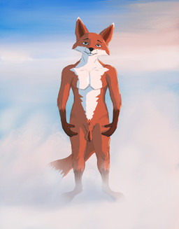 anthro fog front_view genitals male nude outside penis sky solo standing sunset vgerfox canid canine fox mammal hi_res