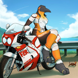 anthro barefoot beak bottomwear chest_tuft claws clothing detailed_background digit_ring feet female grass jacket jewelry looking_aside motorcycle outside pants plant ring sea sitting sky smile solo text text_on_clothing toe_ring toes topwear tuft vehicle water corrsk yamaha_motor_corporation olivia_(corrsk) arthropod avian bird crab crustacean decapod emperor_penguin malacostracan penguin 1:1 english_description english_text hi_res
